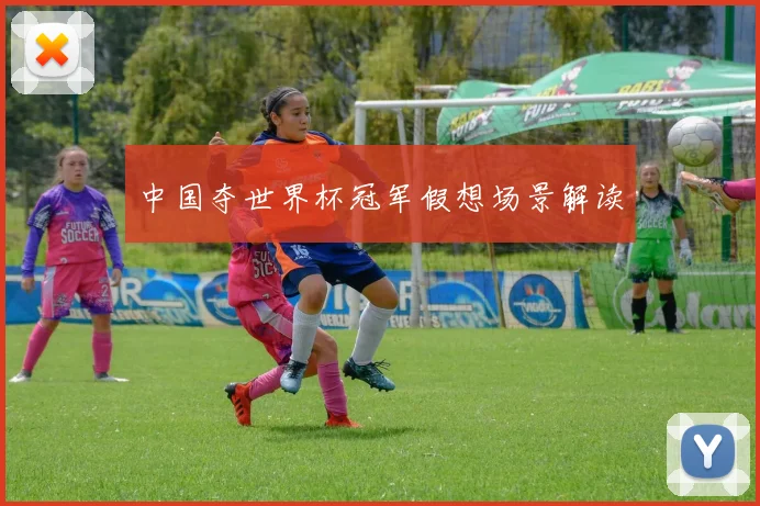 中国夺世界杯冠军假想场景解读